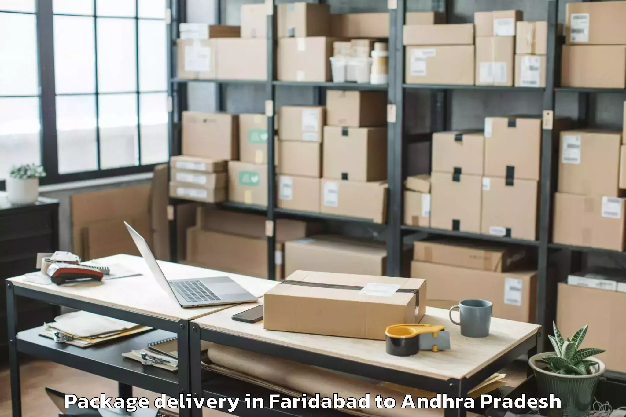 Discover Faridabad to Piduguralla Package Delivery